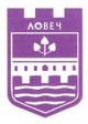 ОБЩИНСКО РАДИО ЛОВЕЧ